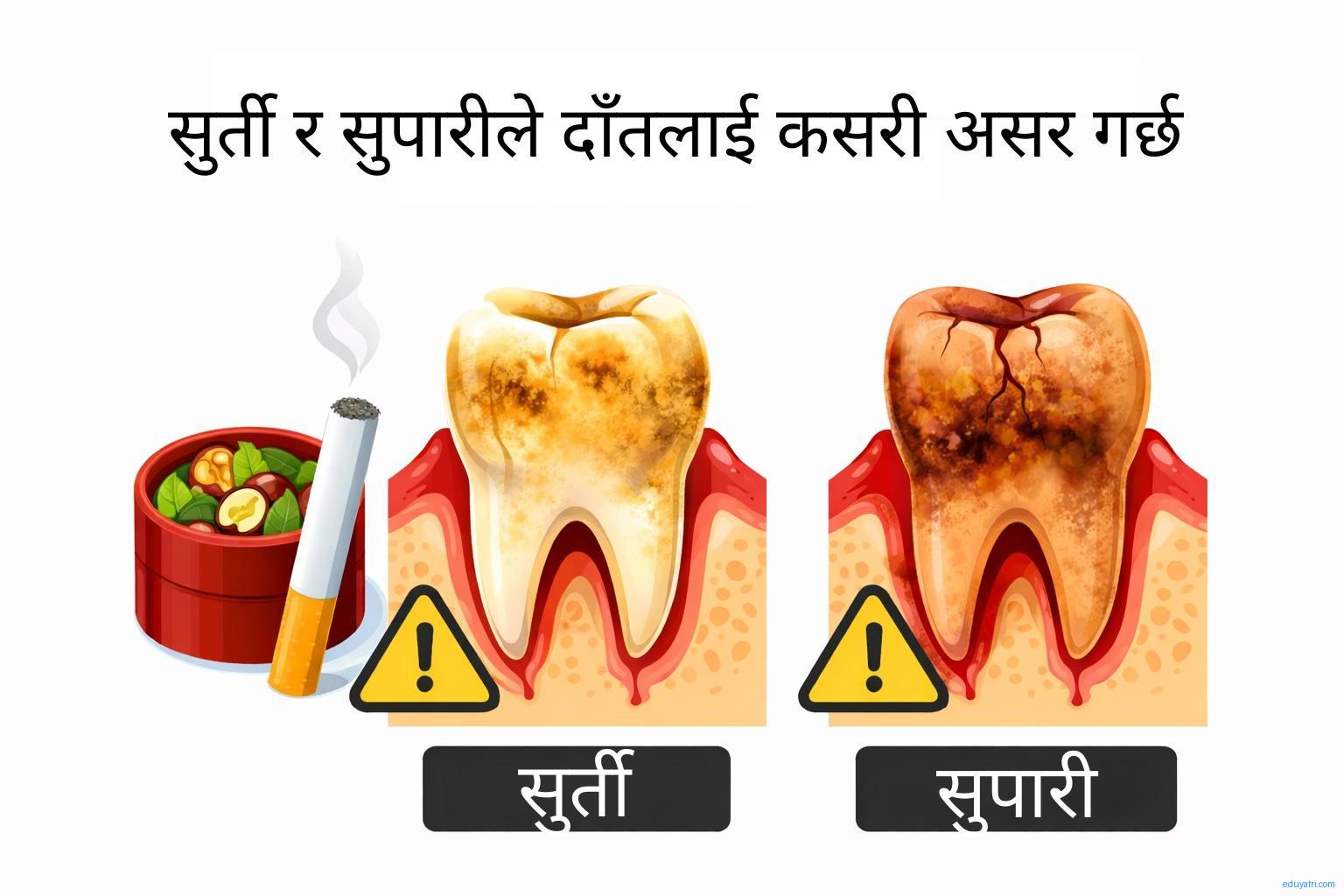 तम्बाकु र पानले दाँतमा कसरी असर गर्छ ?